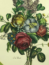 Jean Louis Provost pair of botanical prints