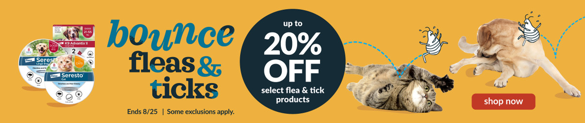 Feeders Pet Supply