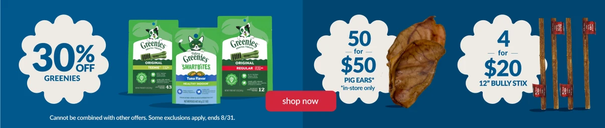 Feeders Pet Supply