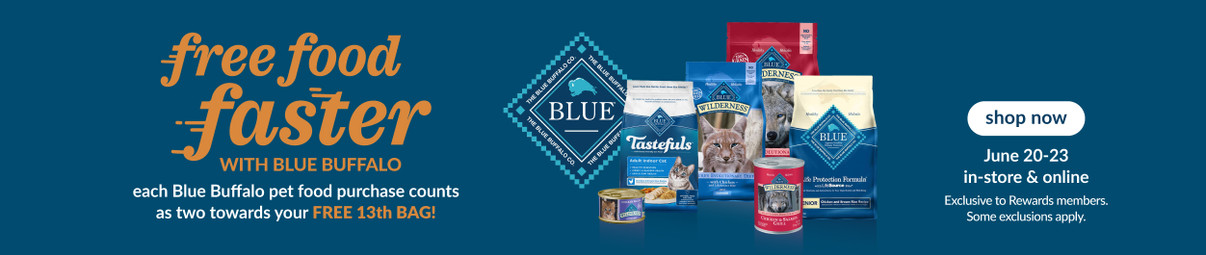 Feeders Pet Supply