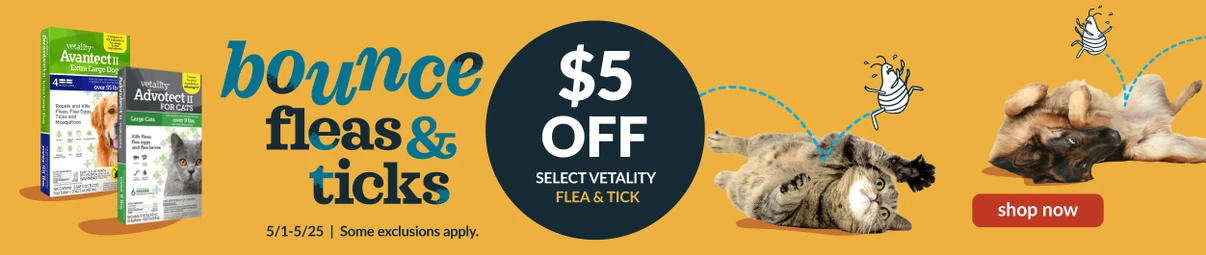 Feeders Pet Supply