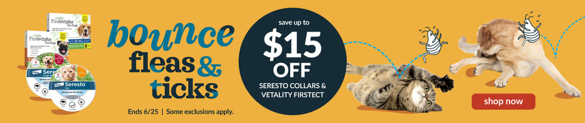 Feeders Pet Supply