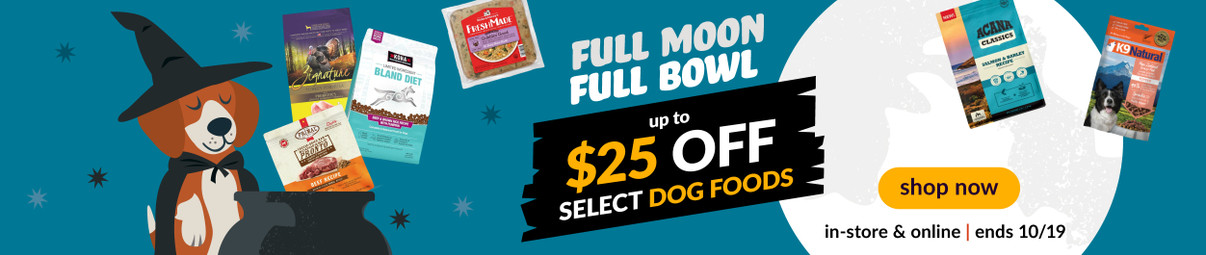 Feeders Pet Supply