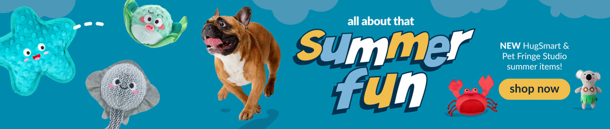 Feeders Pet Supply