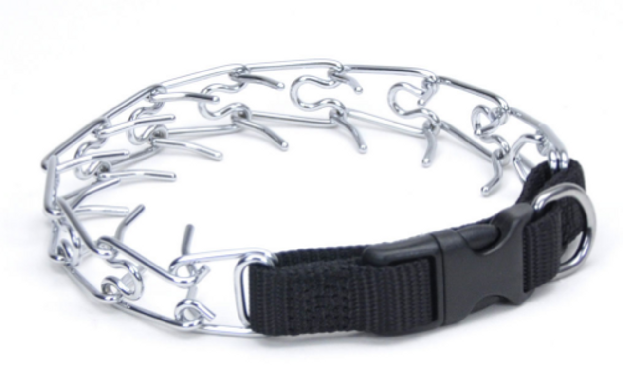 buckle prong training dog collar