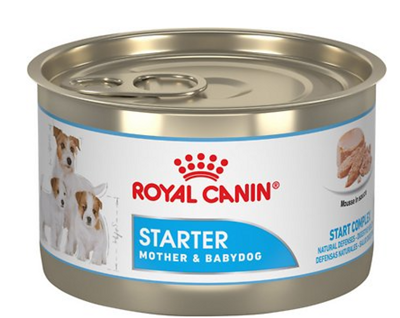 onduidelijk Aanbeveling opleggen Royal Canin Starter Mousse Mother & Puppies Canned Dog Food - Feeders Pet  Supply