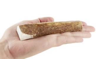 kong wild whole elk antler dog chew