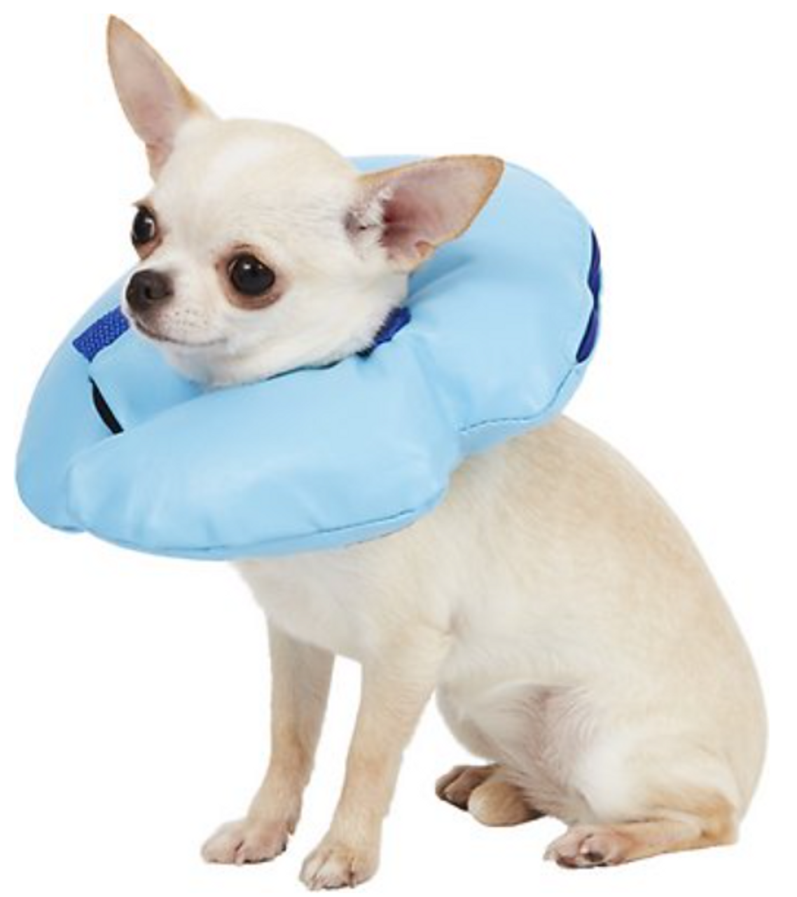 Cardinal Pet Care Remedy+Recovery Inflatable Stay Rite Xtra Strong Dog  Collar - Feeders Pet Supply