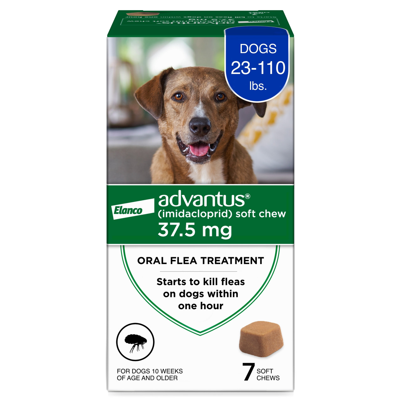 Edible hot sale flea medicine