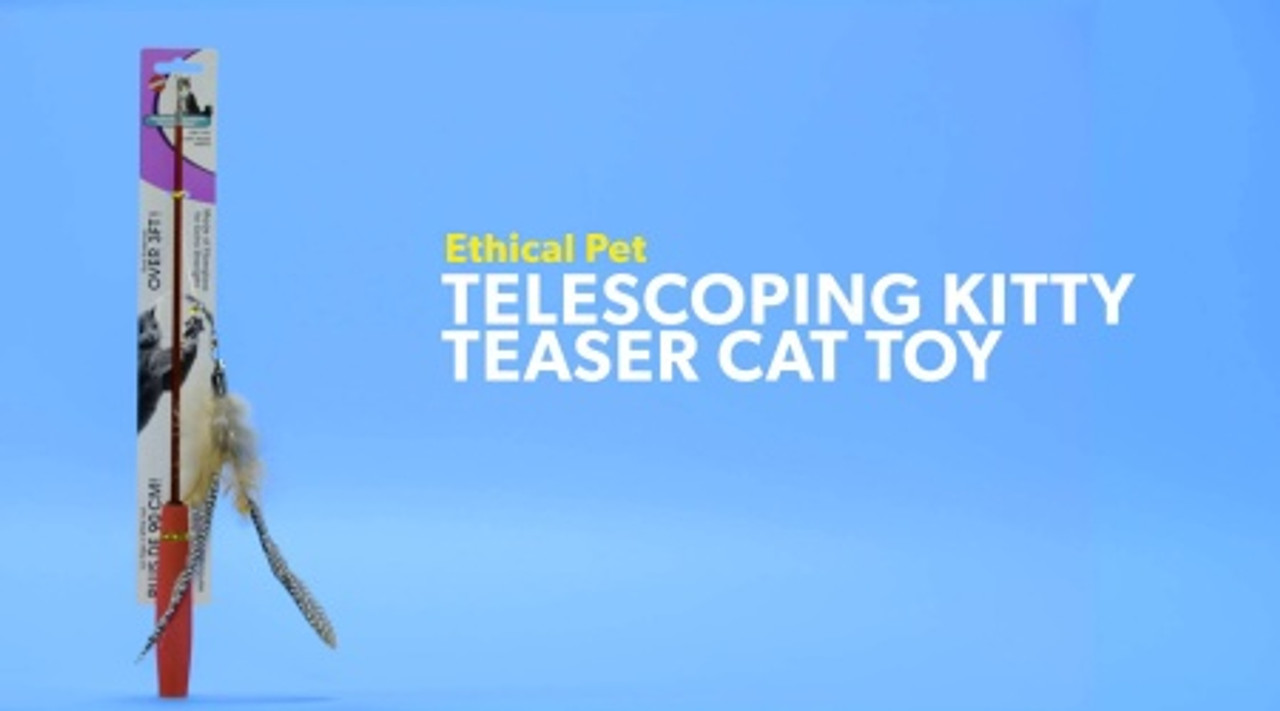 Spot Ethical Pet Fishing Rod N' Reel Kitty Teaser Cat Toy - Feeders Pet  Supply