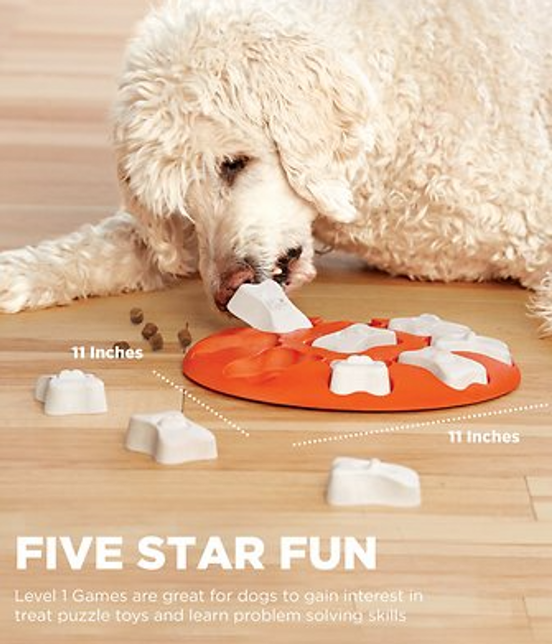 Outward Hound Smart Dog Bone Puzzle Game Dog Toy - Feeders Pet Supply