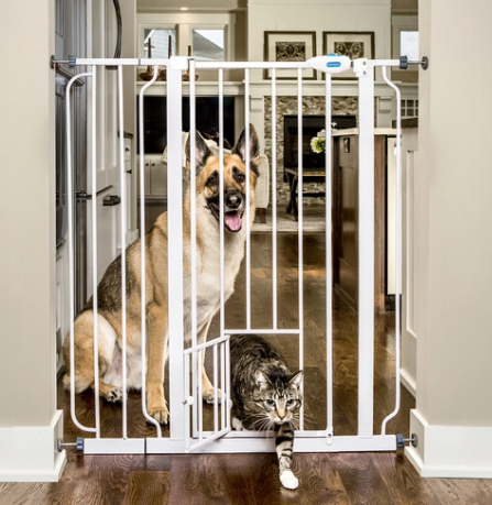carlson pet gate remove cat door