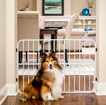 carlson pet gate remove cat door