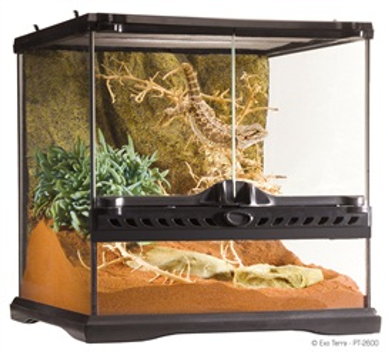 Split Controverse Articulatie Exo Terra Glass Terrarium Reptile Habitat, 12"x12"x12" - Feeders Pet Supply