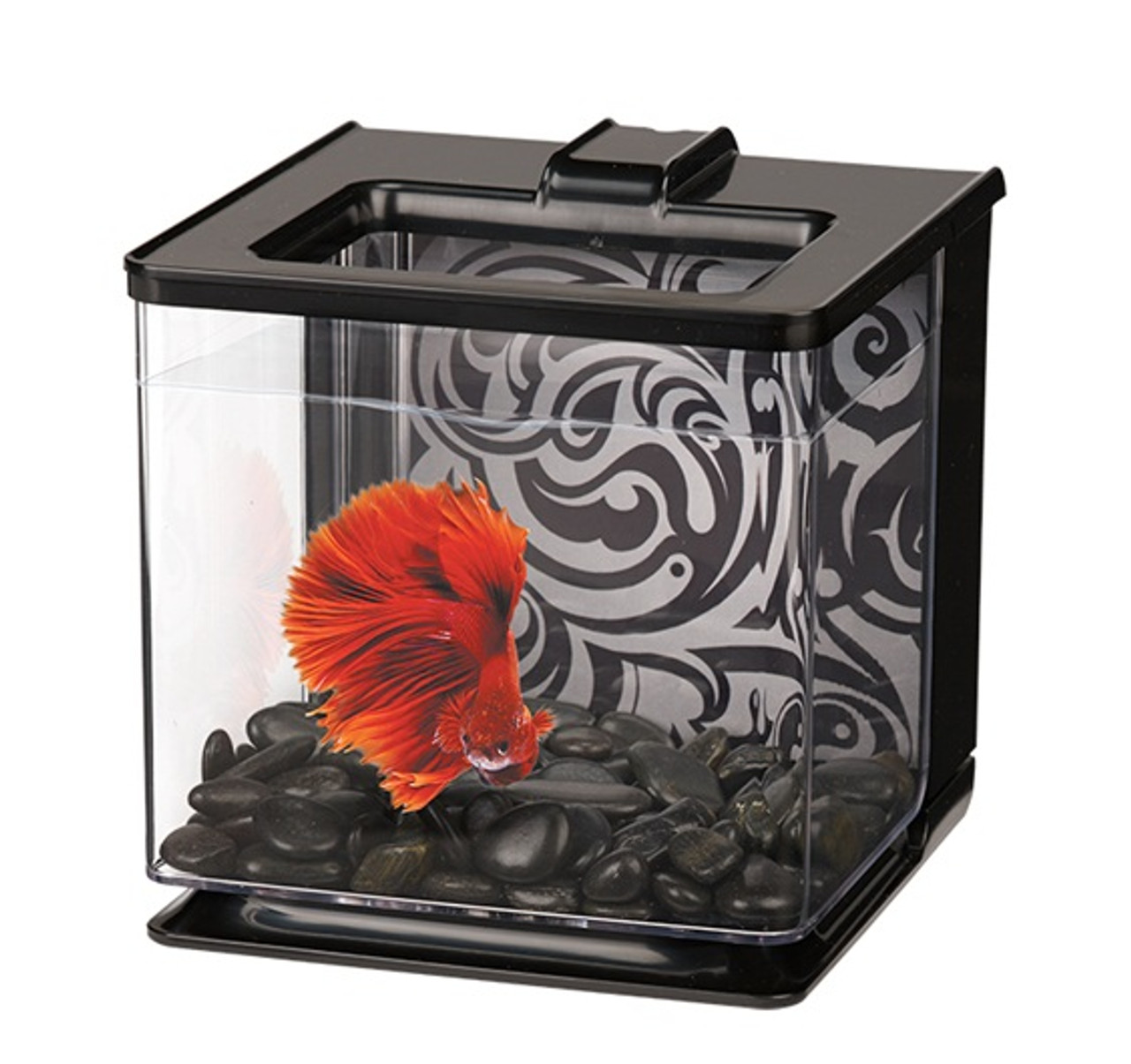 Marina hot sale betta tank