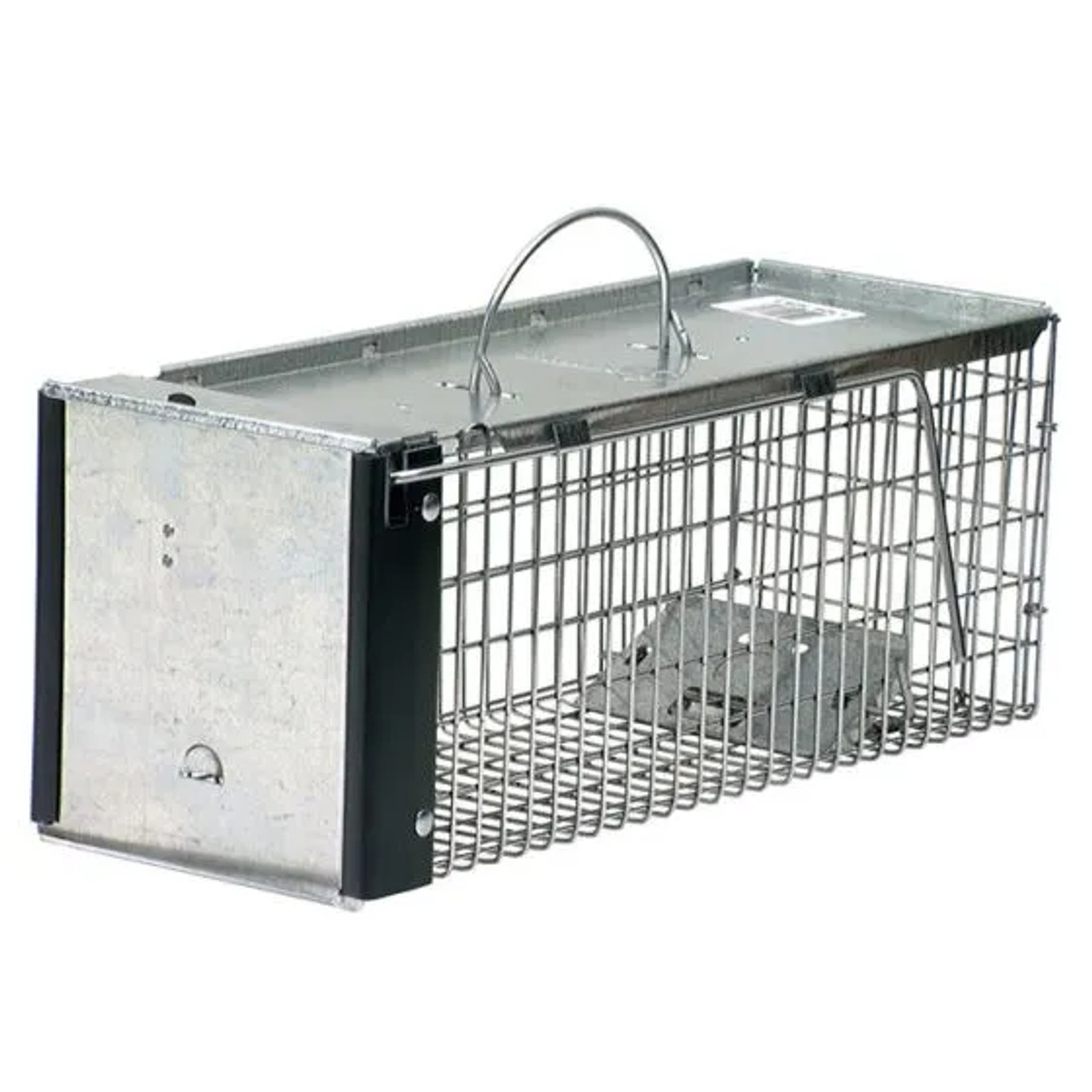 Woodstream Havahart Chipmunk Size Humane Live Animal Trap - Feeders Pet  Supply