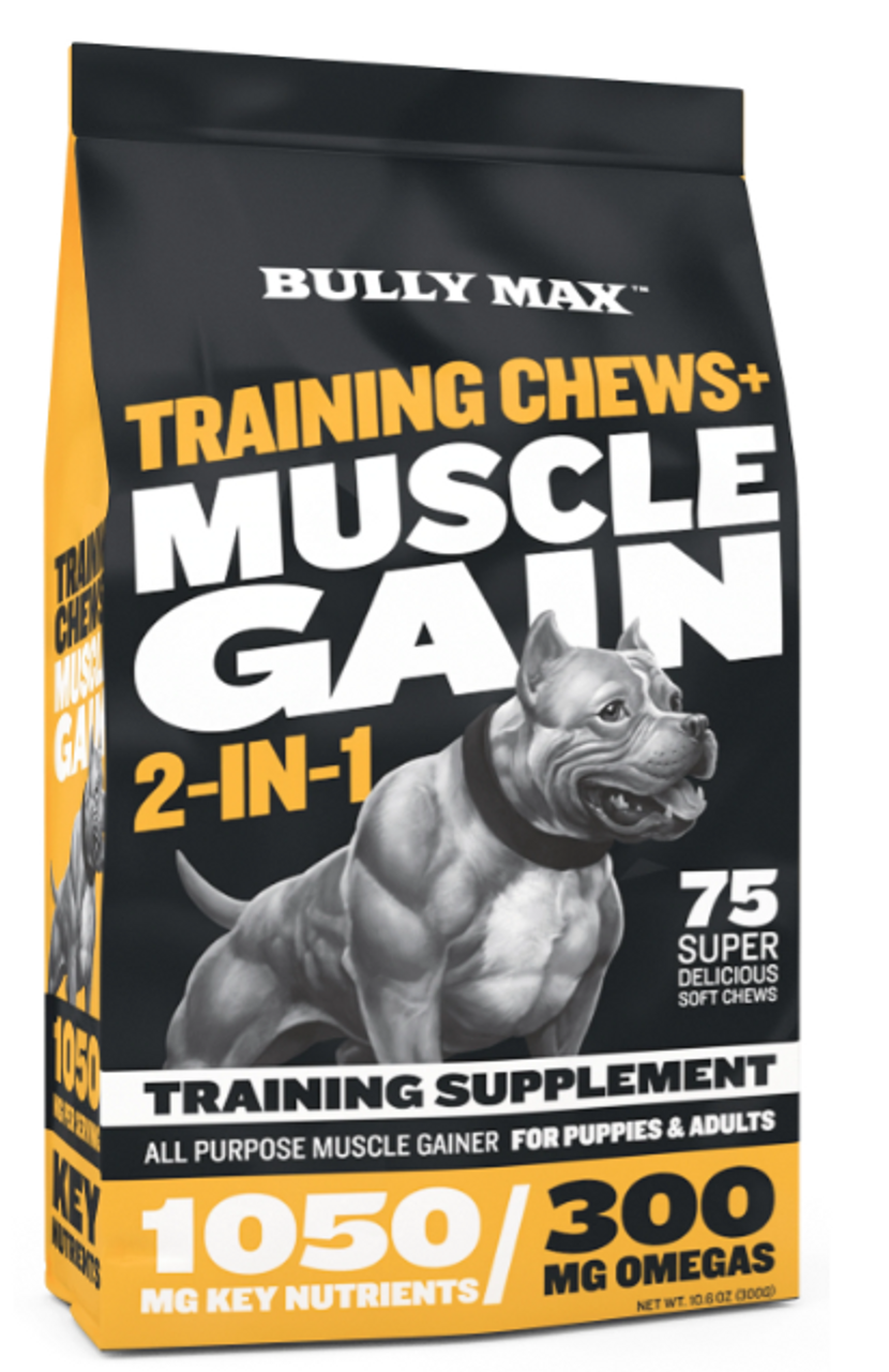 pitbull dog muscle building