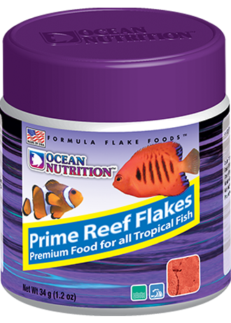 How to Feed Flake Food to Tropical Fish: Expert Tips & Tricks