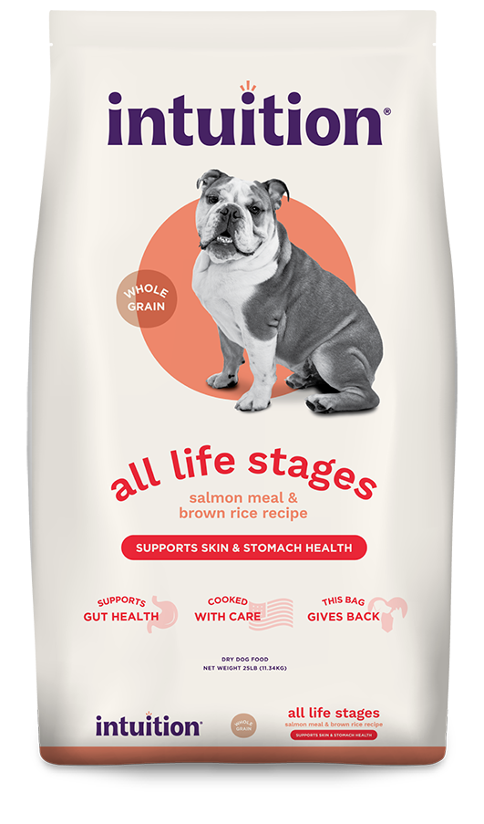 British Bulldog Best Treats For English Bulldog Puppies Best Dog