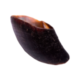 Natural Harvest Pet Prod Cow Hooves 