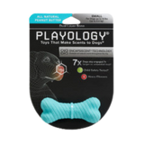 Playology Dual Layer Bone Peanut Butter Scent Dog Toy