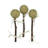 Oxbow Enriched Life Timmy Pops Small Animal Chew Toy 3 pk