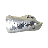 Blue Ribbon Nile Crocodile Skull Aquarium Ornament S