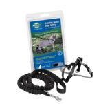 PetSafe Come With Me Kitty Harness and Lead