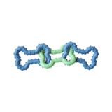 Petstages Bonetugz Tug-O-War Puppy Chew Toy 