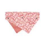 Fuzzyard Holiday Candy Cane Dog Bandana