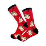 E & S Imports Pet Lover Socks Bulldog, Unisex, One Size Fits Most 