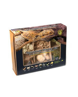 Galapagos Reptile Gear Arid Environment Reptile Terrarium Kit 4.5 qt