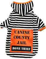 Petrageous Halloween Bone Thief Plush Hoodie Pet Costume