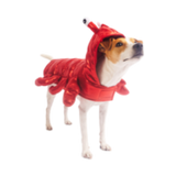 Silverpaw Halloween Lobster Pet Costume