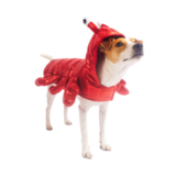 Silverpaw Halloween Lobster Pet Costume