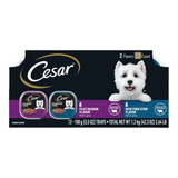 Cesar Filets in Gravy Beef Variety Pack Small Breed Adult Wet Dog Food  12 ct