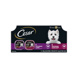 Cesar Classic Loaf in Sauce Filet Mignon & Porterhouse Steak Flavors Variety Pack Grain-Free Small Breed Adult Wet Dog Food 12 ct