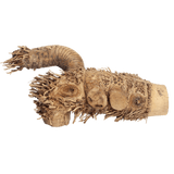 A&E Small Spider Wood Root Reptile Branch 12 x 8 x 5 in