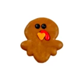 Bosco & Roxy Fall Turkey Dog Treat Cookie 