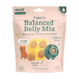 Woof Pupsicle Mix Pumpkin Balanced Belly Lickable Dog Treats 5.5 oz