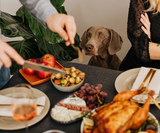 What Can My Dog Eat on Thanksgiving Day? 