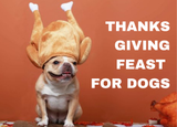 Build Your Dog’s Thanksgiving Feast Bowl 