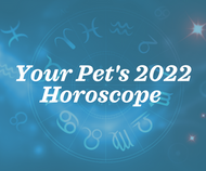 Your Pet's Horoscope for 2022 