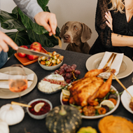  Paw Approved Ideas To Make Thanksgiving Special Fur Everyone