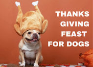Build Your Dog’s Thanksgiving Feast Bowl 
