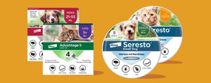 Flea & Tick Defense