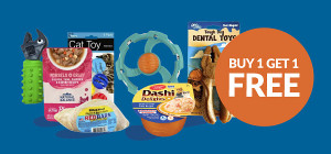 Buy 1, Get 1 FREE on Top Picks