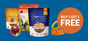 Big BOGO Savings on Treats, Toys, and More