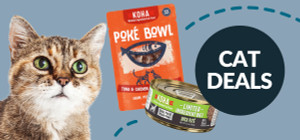Meow-velous Savings on Cat Essentials