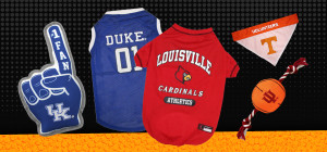 Slam Dunk Style Starts Here